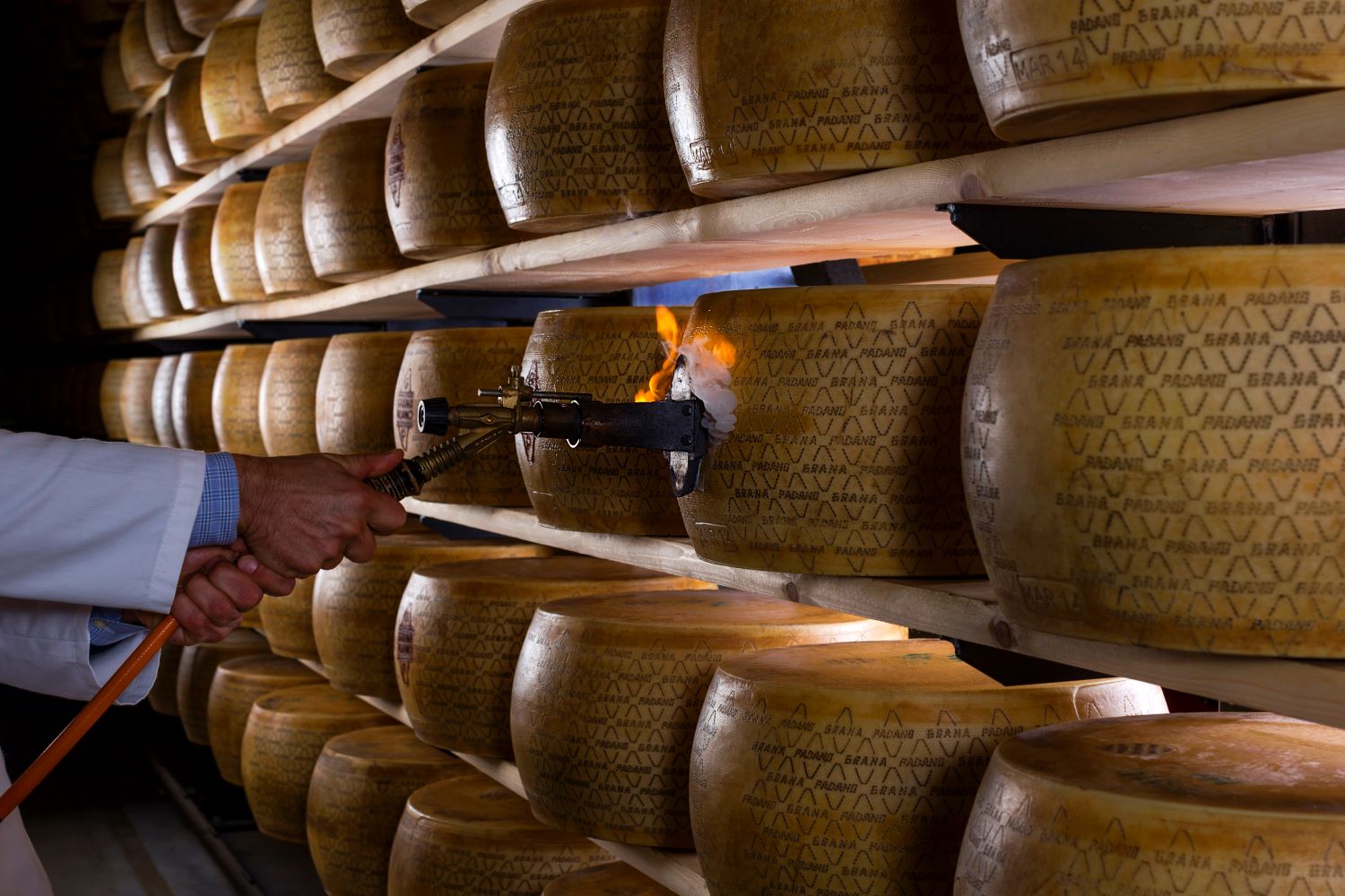 Vola l’export del Grana Padano