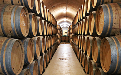 Il vino italiano saluta il 2024 con un nuovo record dell’export