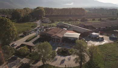 Software Erp Csb-System: alleato a 360° per le aziende lattiero-casearie, come il Caseificio Ponte Reale