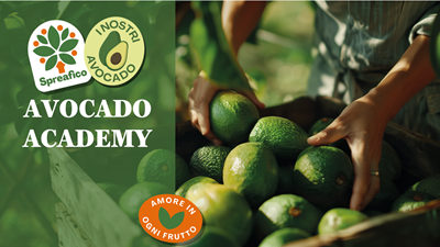 Prende il via l’Avocado Academy Spreafico