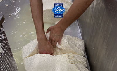 Latteria Soligo: bilancio positivo e latte che vale