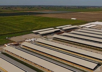 B.F. S.p.A: approvato il bilancio 2024, crescono valore della produzione ed Ebitda