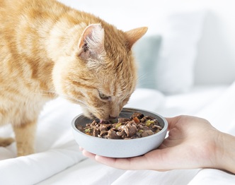 United Petfood: più scelta e qualità per i clienti