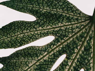 Inditex rigenera la moda