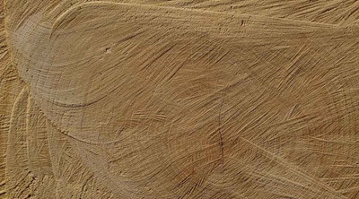 La circolarità del legno