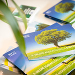 Federlegno presenta il suo Bilancio di Sostenibilità