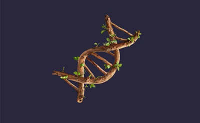 I patti nelle imprese familiari