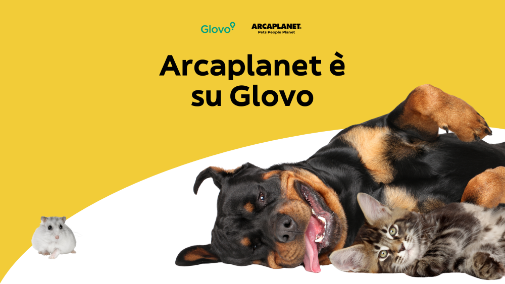  Glovo e Arcaplanet siglano una partnership: prodotti pet a domicilio in 30 minuti