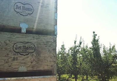 Del Monte Foods chiede la bancarotta controllata