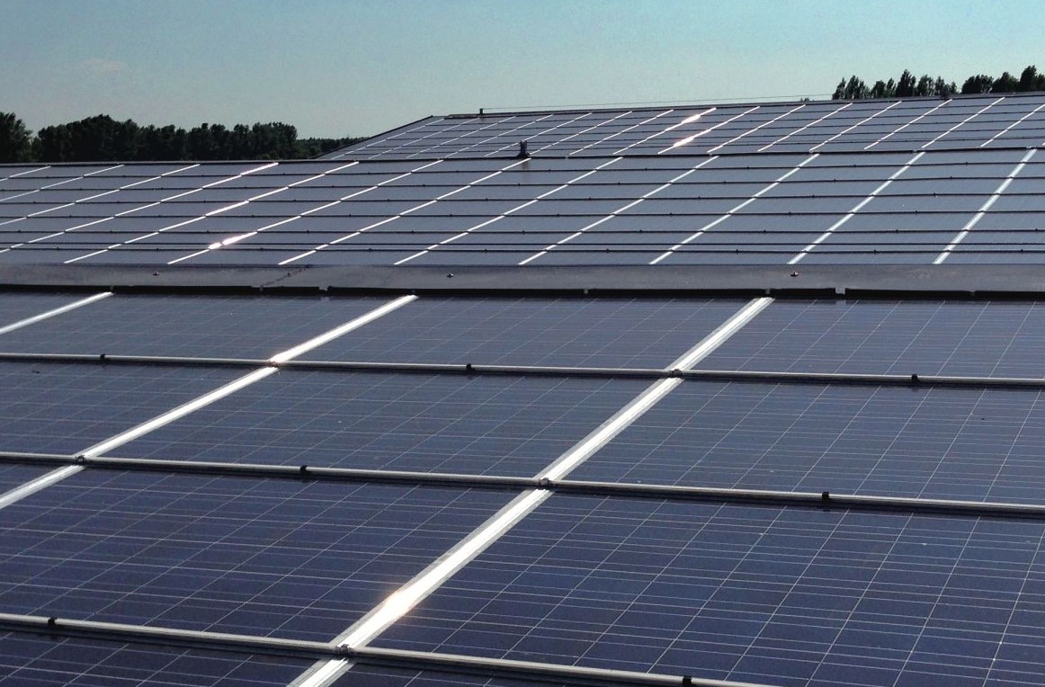 L’Insalata dell’Orto sempre più green