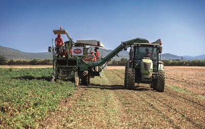 Petti compie 100 anni tra tradizione e innovazione