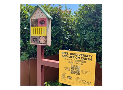 Miele italiano a Expo Osaka: Giappone vale il 30% dell’export di CONAPI-Mielizia