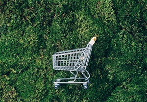 GDO e retail: come trasformare la sostenibilità in fattore competitivo