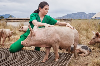 Zootecnia, l'etica nella produzione diventa valore