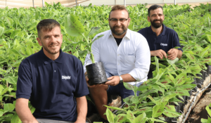   Chiquita avvia la coltivazione in Sicilia