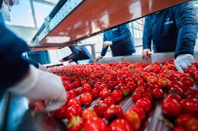 Windoria: la prima acquisizione è in Arabia Saudita