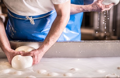 Mozzarella di Bufala Campana Dop, la sfida europea
