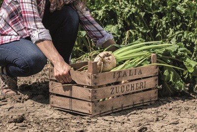 Le filiere produttive: Coprob-Italia Zuccheri