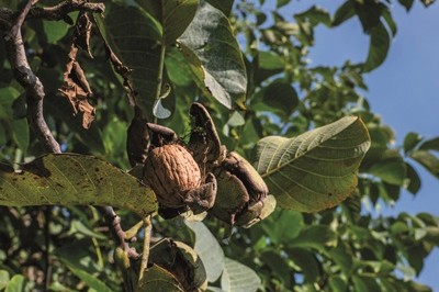 Le filiere produttive: New Factor