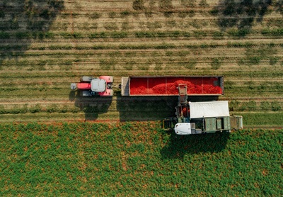 Campagna del pomodoro 2025: Casalasco chiude con quasi 800.000 tonnellate lavorate