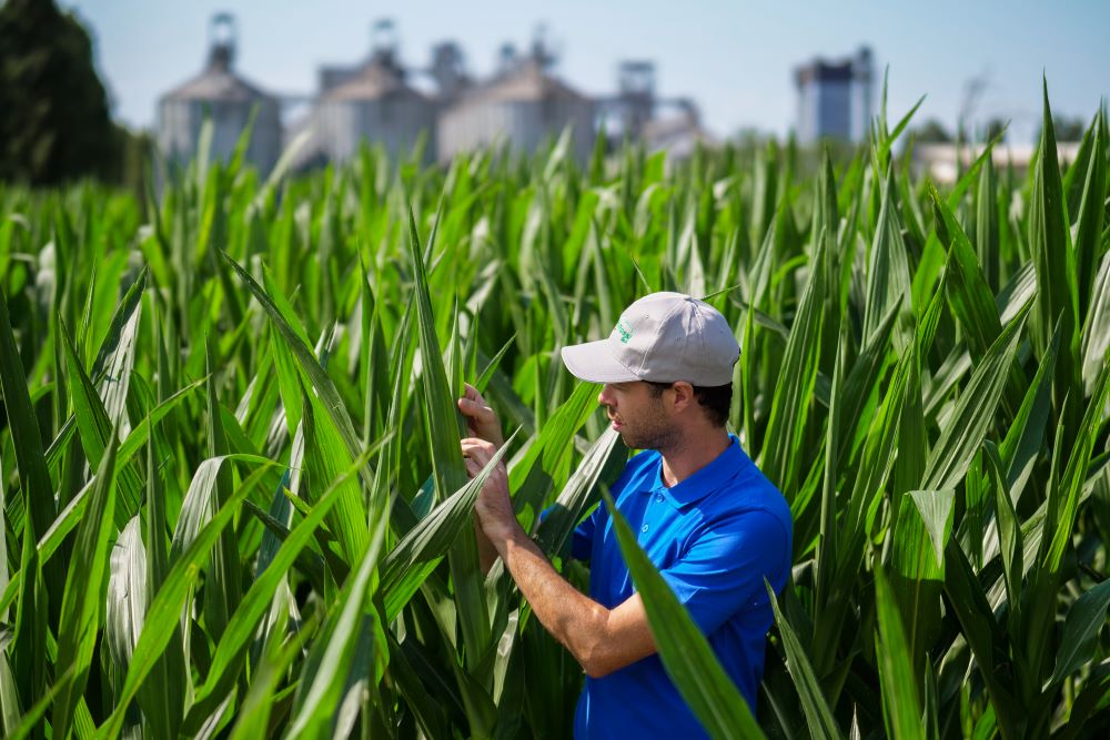Sostenibilità e innovazione spingono la crescita di MartinoRossi
