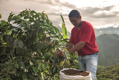 Il nuovo volto del commercio equo