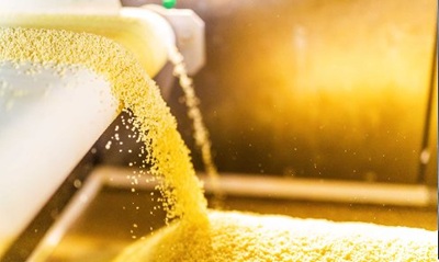 Gruppo BF e soci vendono il cous cous Bia