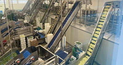 L’Insalata dell’Orto: parità di genere e filiera trasparente