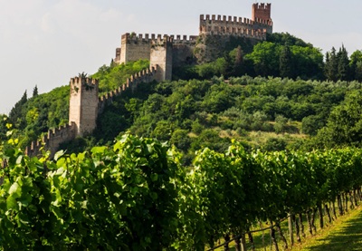 Cadis 1898 approva il bilancio d'esercizio 2024-2025