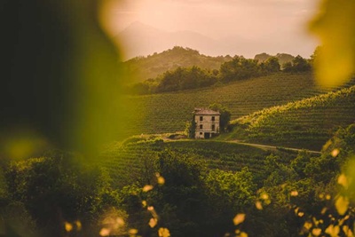 Crescono i margini di Iwb