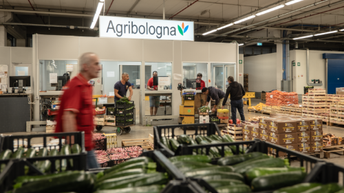 Agribologna pubblica il Bilancio di Sostenibilità 2024