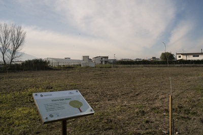 La Doria: prosegue l'impegno per la rigenerazione ambientale in Campania