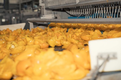 Gias rinnova la propria identità