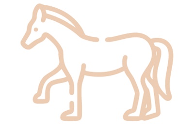 A qualcuno piace il cavallo