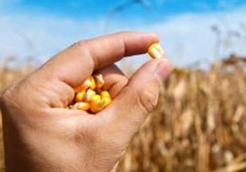 Bonduelle diventa B Corp™ a livello globale