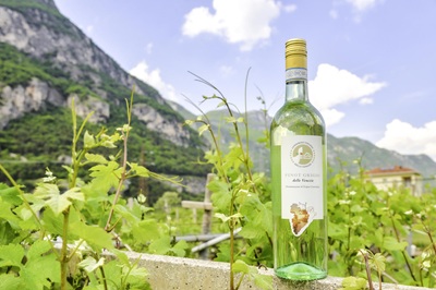 Il Consorzio Tutela Vini DOC Delle Venezie chiude il 2025 confermando la solidità