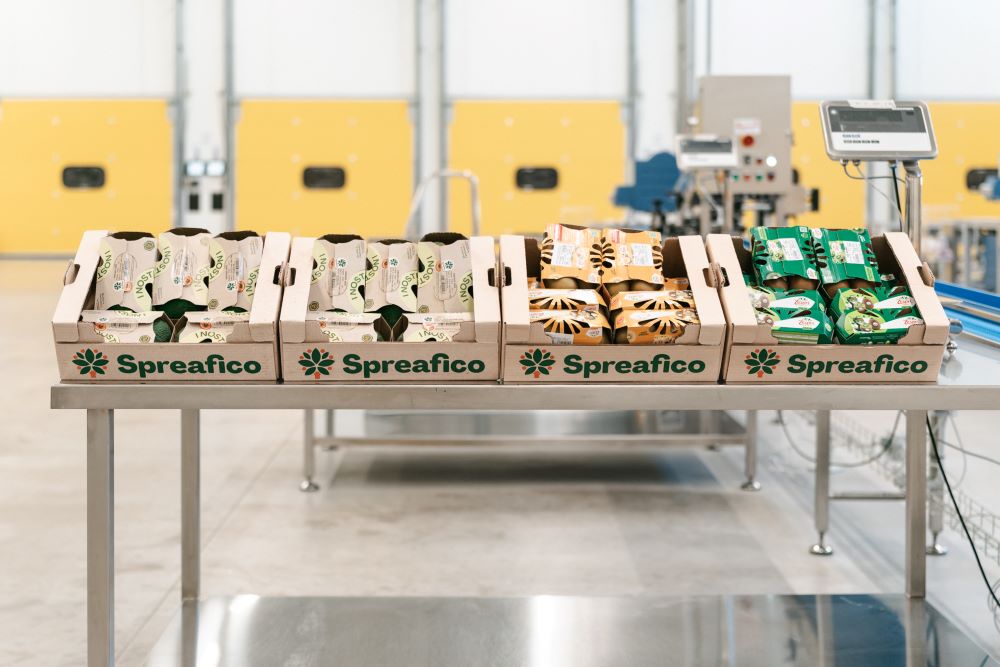 Intesa Sanpaolo, 12 mln a Spreafico Francesco & F.lli S.p.A