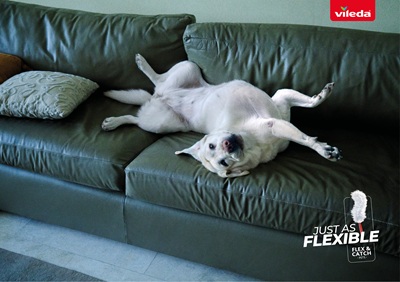 Vileda e Herezie Milano lanciano “Flexible Pets”