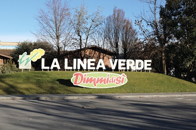 La Linea Verde: l’evoluzione di un player europeo alla conquista del Nord America