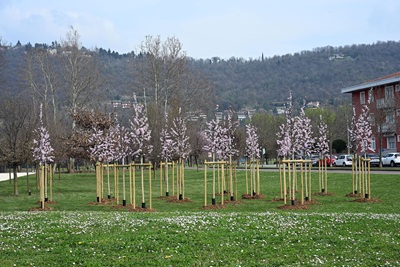 1.400 nuovi alberi a Brescia entro il 2034 finanziati da Italmark
