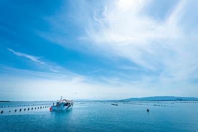 Le cozze e il valore dell’acquacoltura responsabile