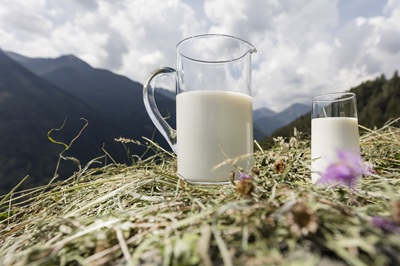 Latterie Alto Adige: nel 2025 crescono fatturato e conferimenti, ma aumenta la pressione sui costi