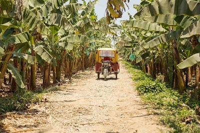 Il mercato Fairtrade in Italia supera i 550 milioni di euro