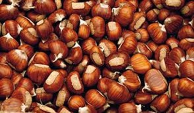 Castagne, filiera in rilancio
