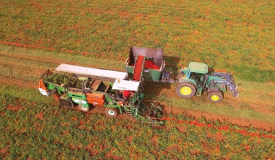 Petti rivoluziona lo scaffale delle conserve rosse