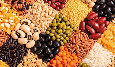 Plant-based, una spinta trasversale