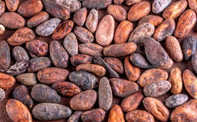 L’impennata storica del cioccolato