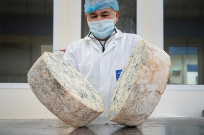 Gorgonzola Dop stabile nel primo semestre 2026