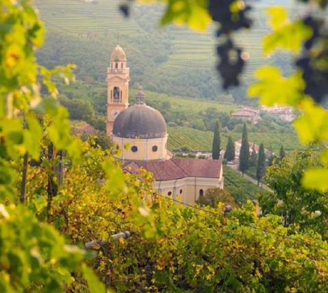 Cesari: Bosan 2017 ai Tre Bicchieri
