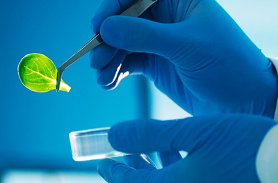 Le start-up accendono la bioeconomia